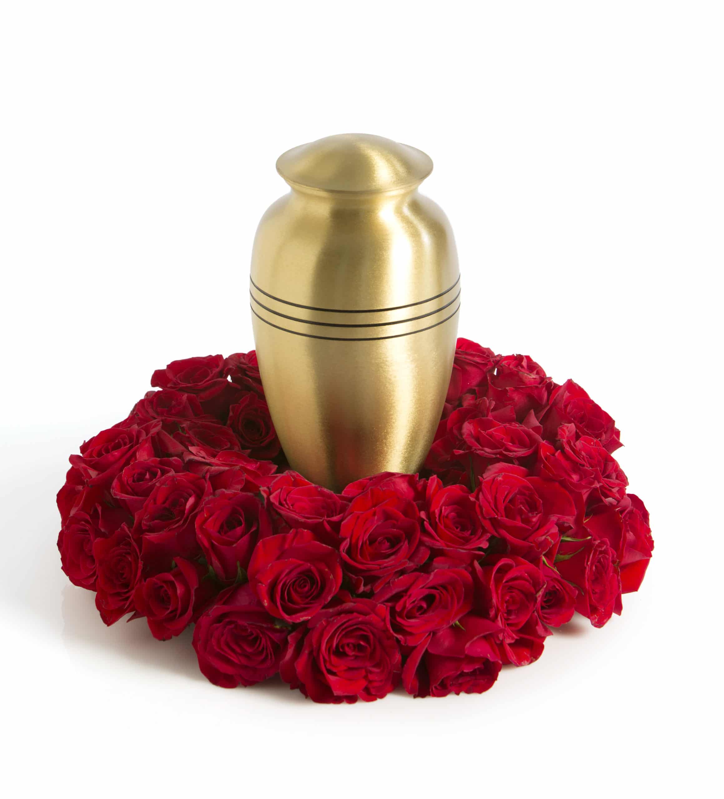 Regal Rose Cremation Arrangement