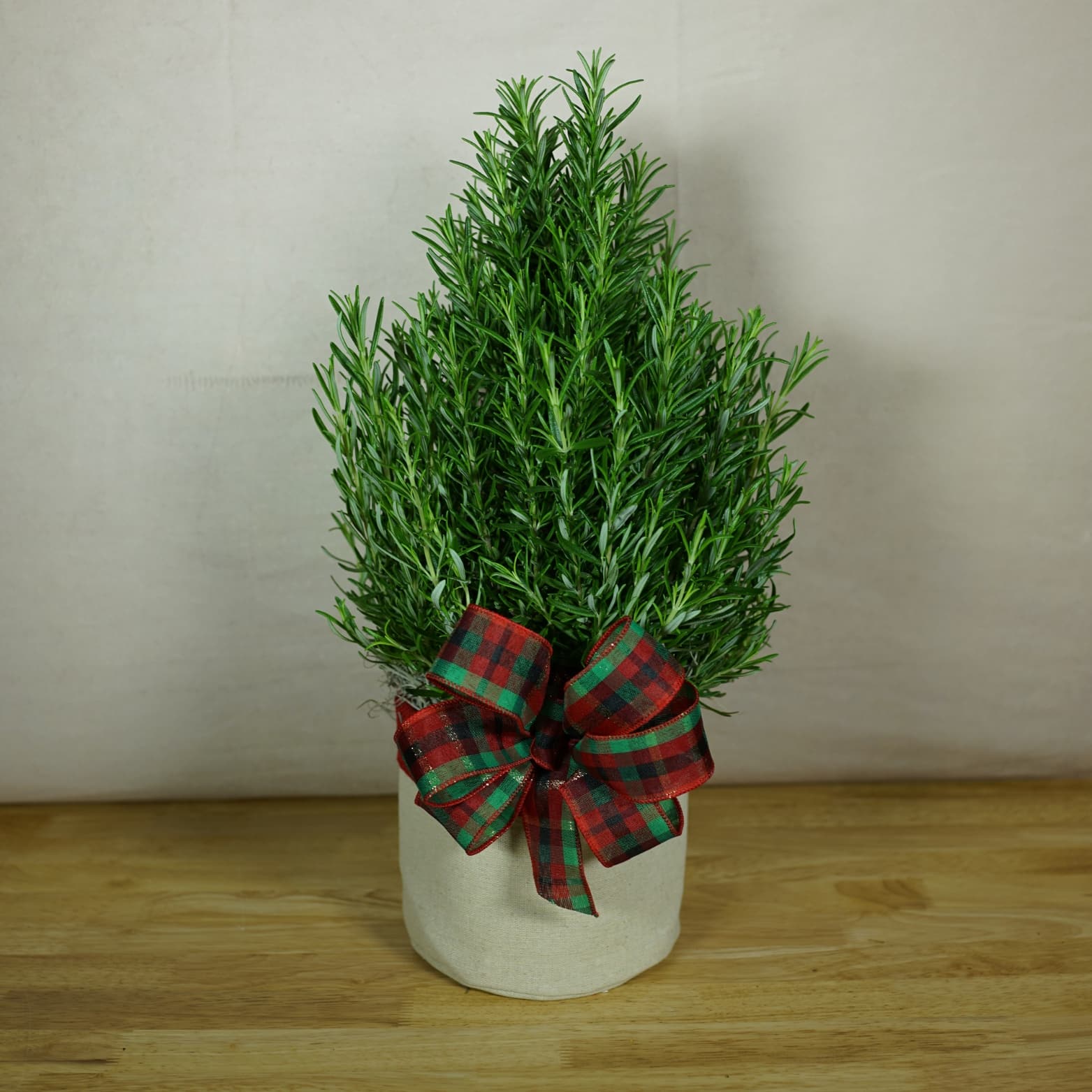 Rosemary Tree