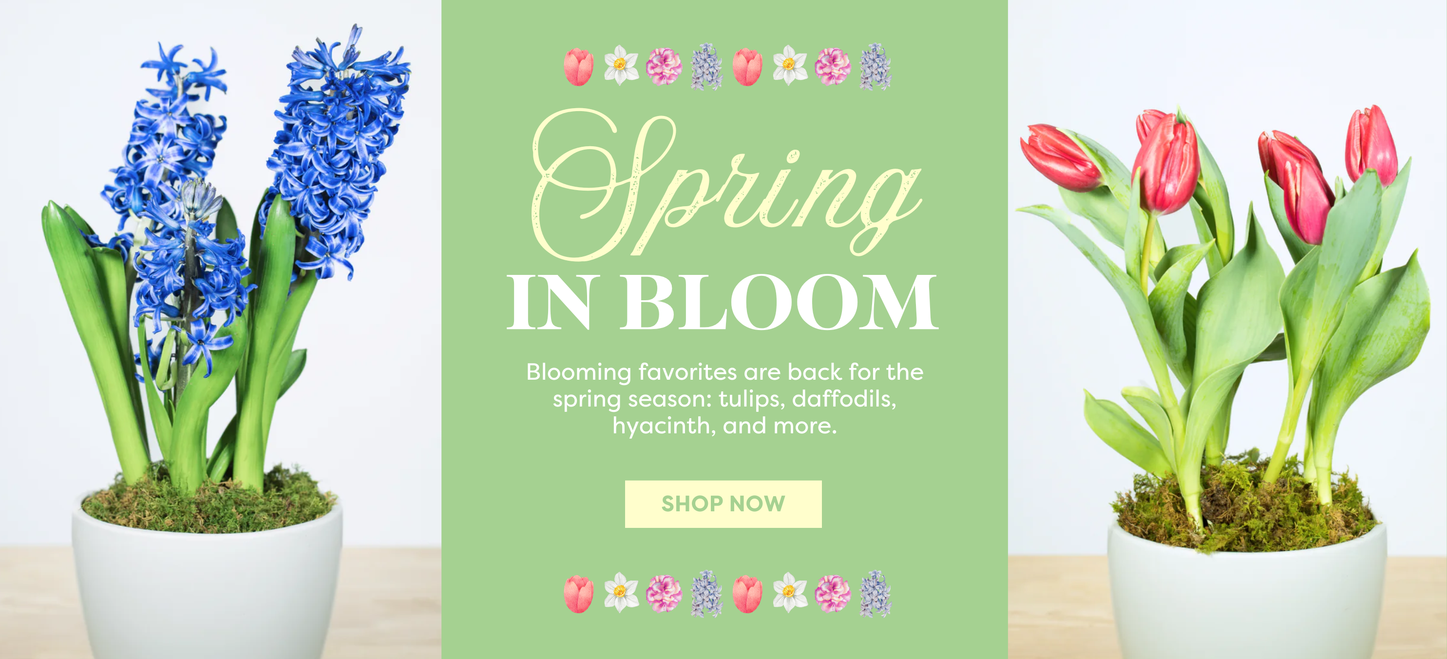 spring_in_bloom.png