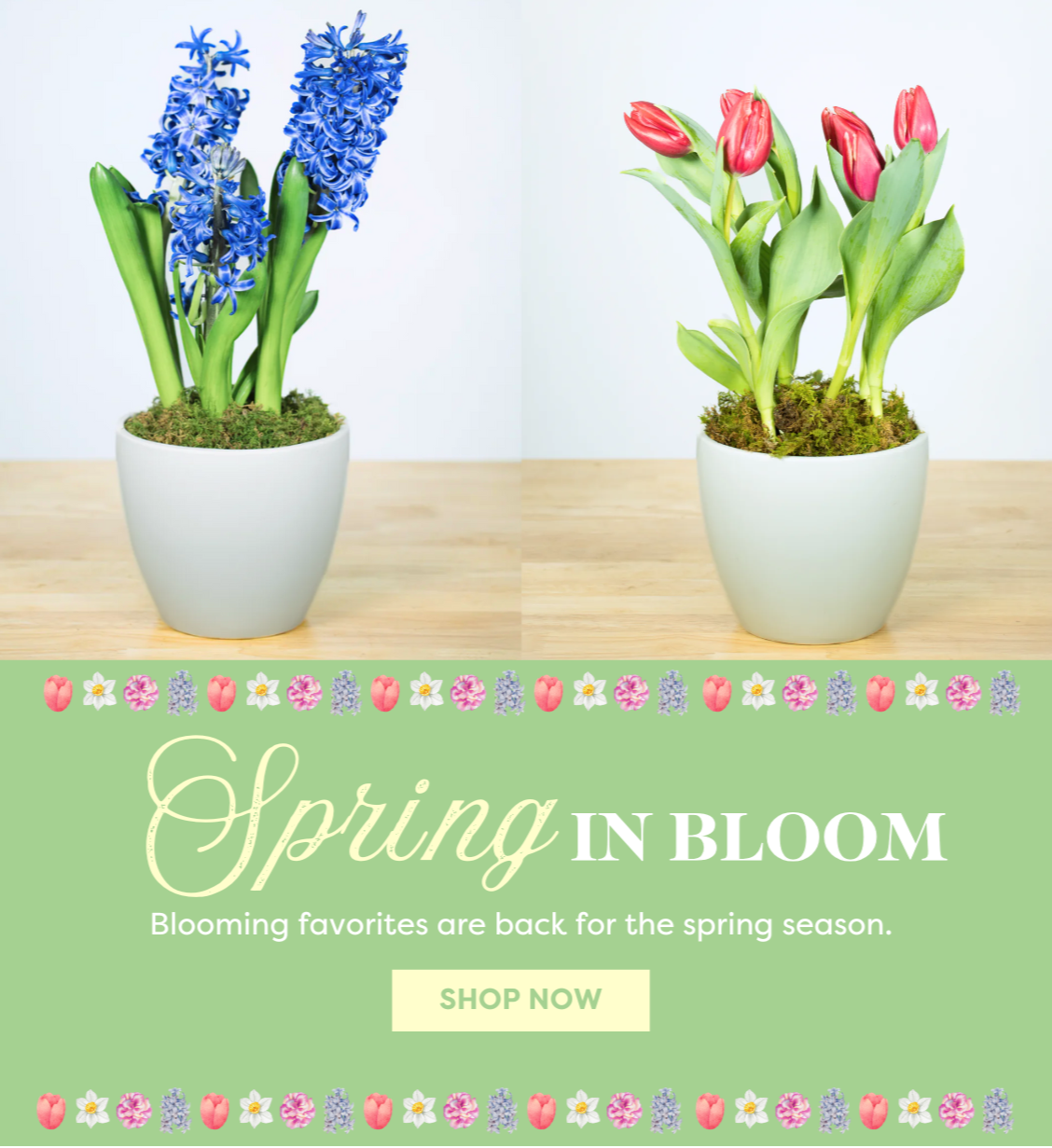 spring_in_bloom_mobile_3.png